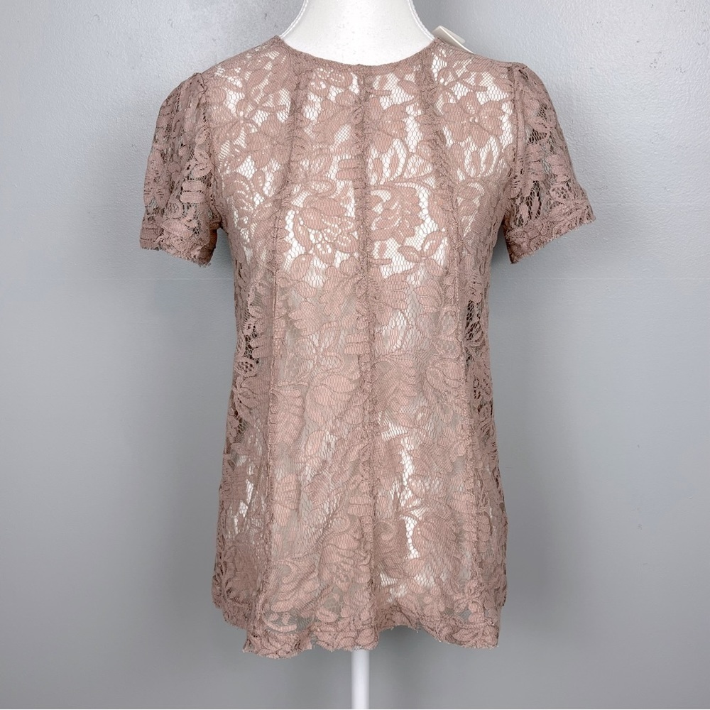 NWOT Chelsea 28 mauve sheer lace button back closure top, size XS.